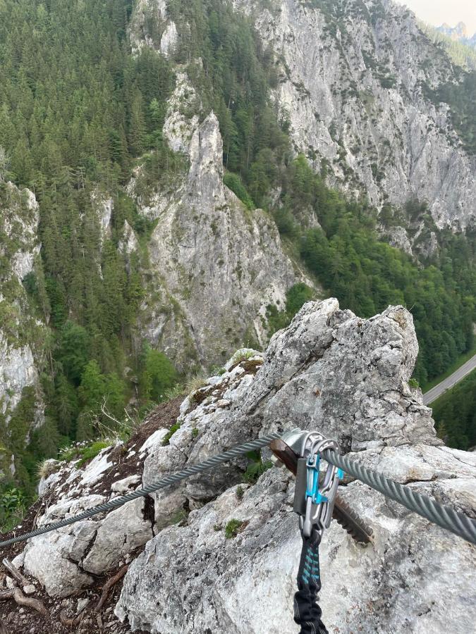 Berghaus Gesaeuse Pension Weng im Gesause Esterno foto