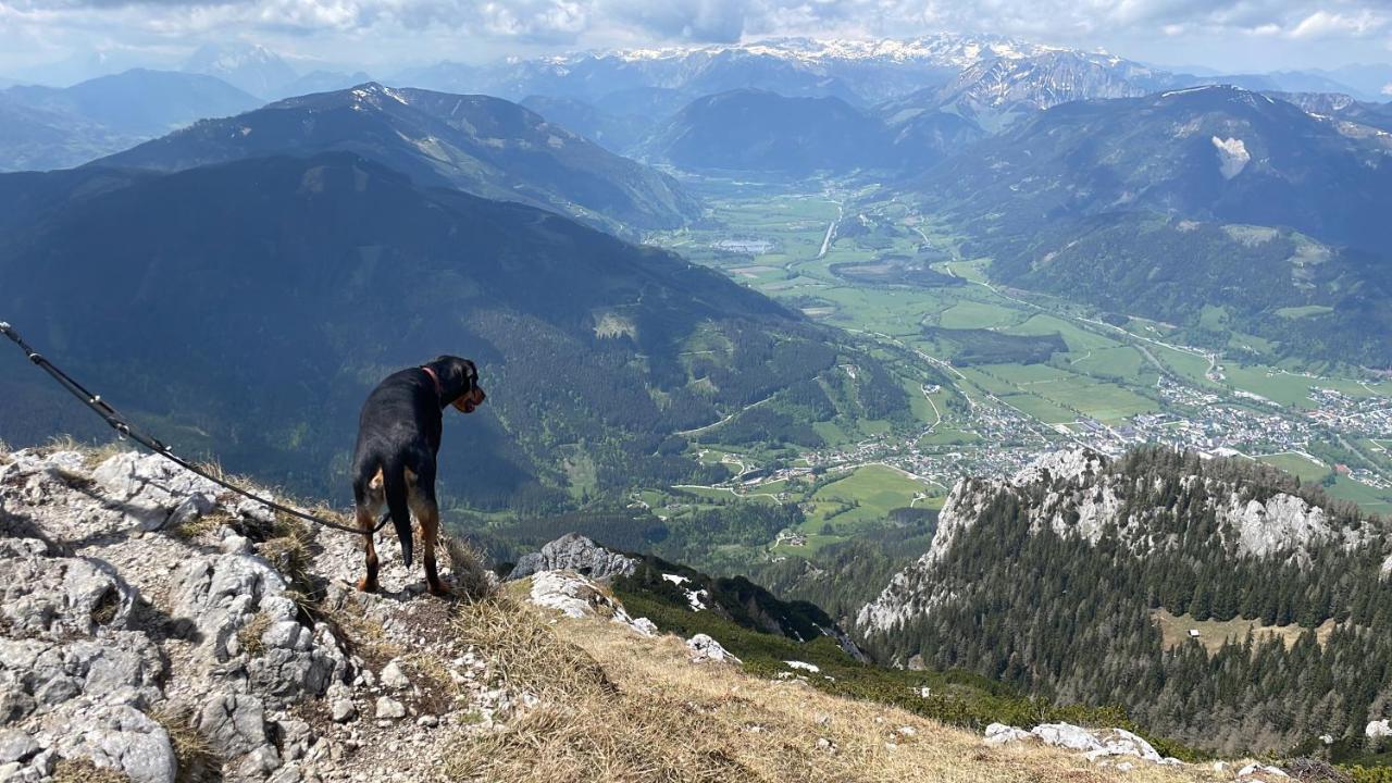 Berghaus Gesaeuse Pension Weng im Gesause Esterno foto