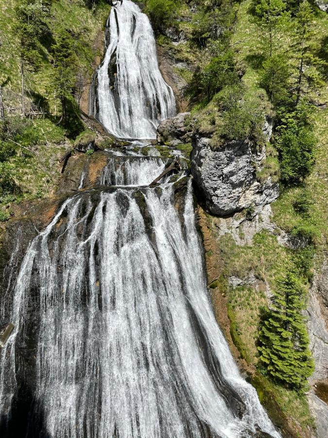 Berghaus Gesaeuse Pension Weng im Gesause Esterno foto